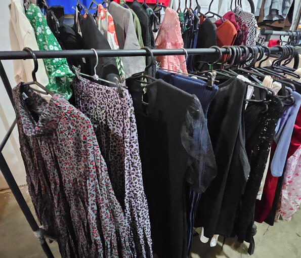 Women&#39;s Dress